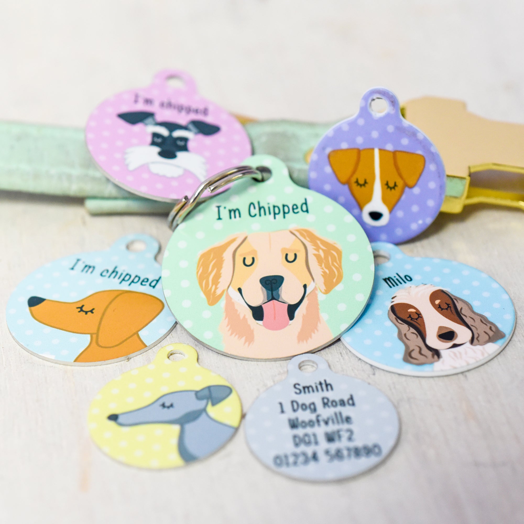 Budget Bauble Pet ID Tag (old style)