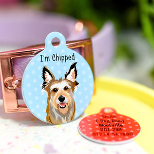 Berger Picard Realistic Personalised Dog ID Tag