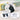 Dog Tag Border Collie Personalised Pet ID Tags Dogs Collar ID Disc