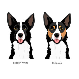 Border Collie Short Hair Realistic Personalised Dog ID Tag