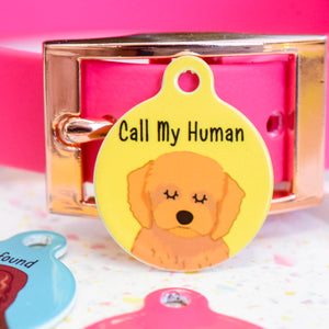 Personalised Bright Coloured Dog Tag