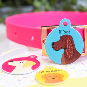 Personalised Bright Coloured Dog Tag