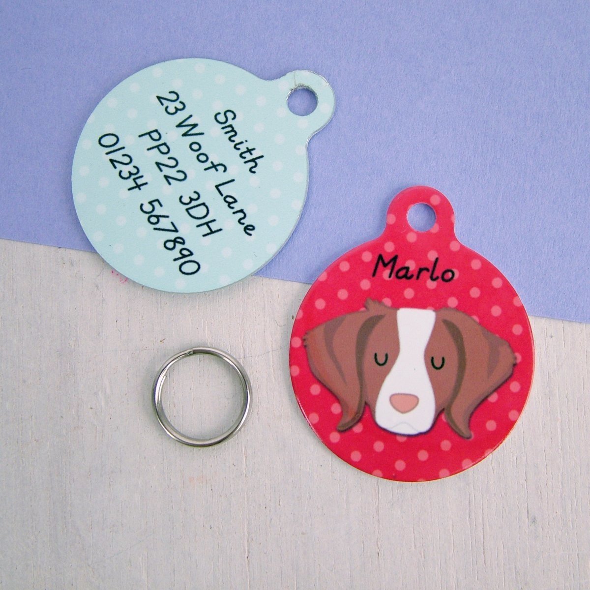 Brittany Dog ID Tag Personalised  - Hoobynoo - Personalised Pet Tags and Gifts