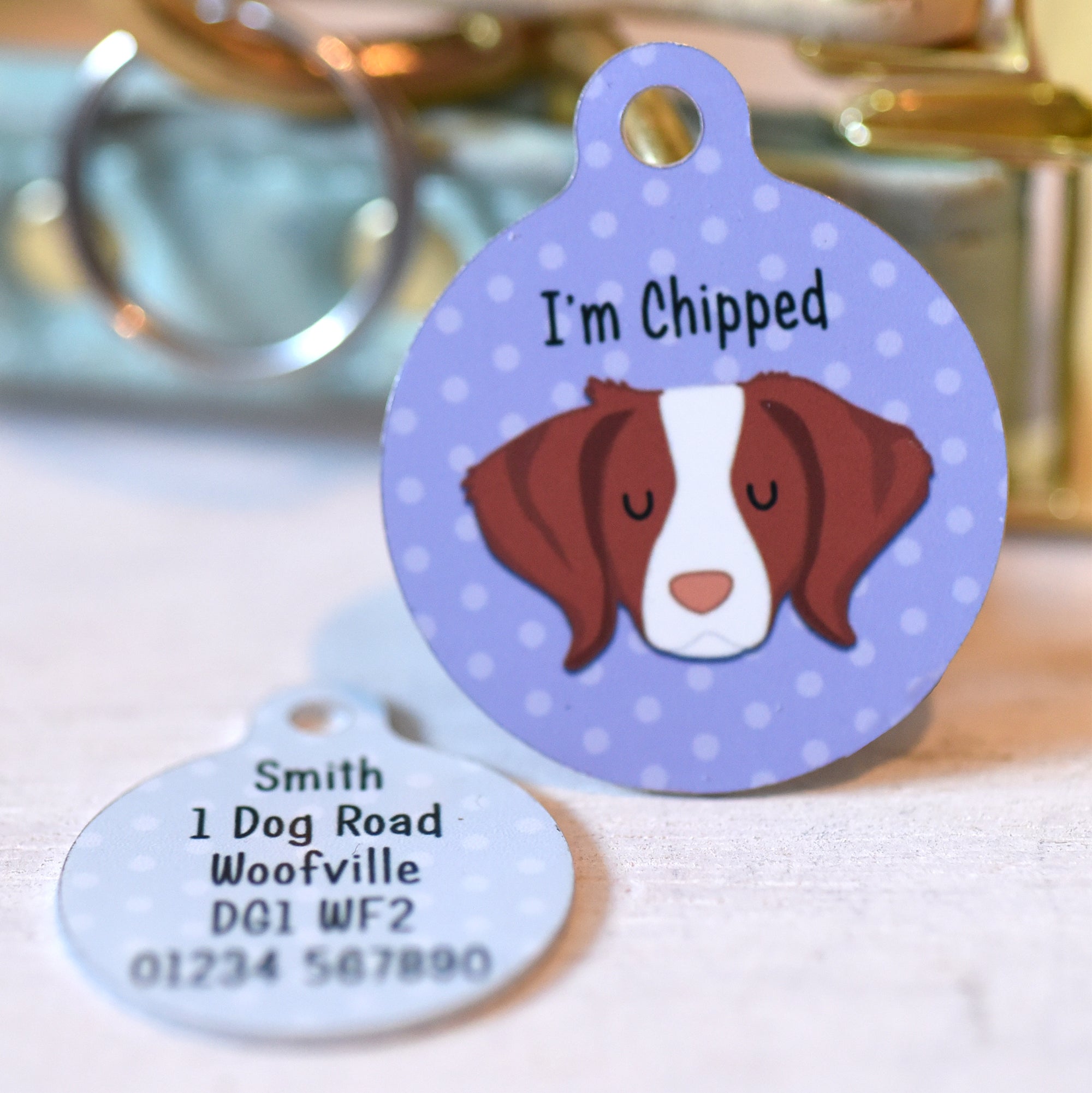 Brittany Dog Tag Personalised