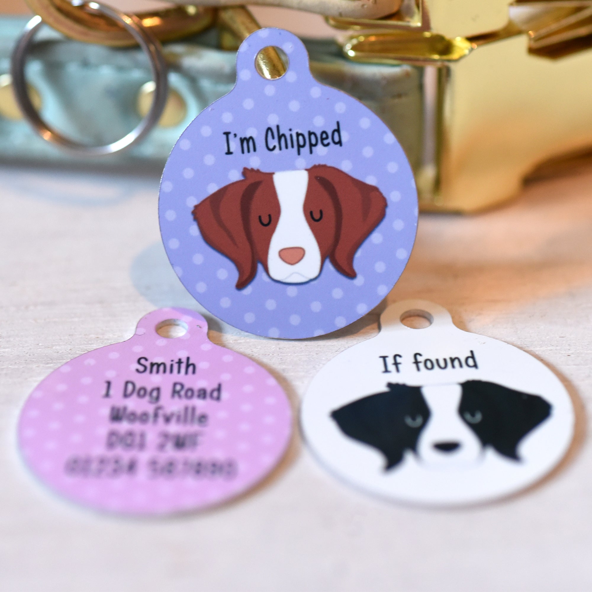 Brittany Dog Tag Personalised