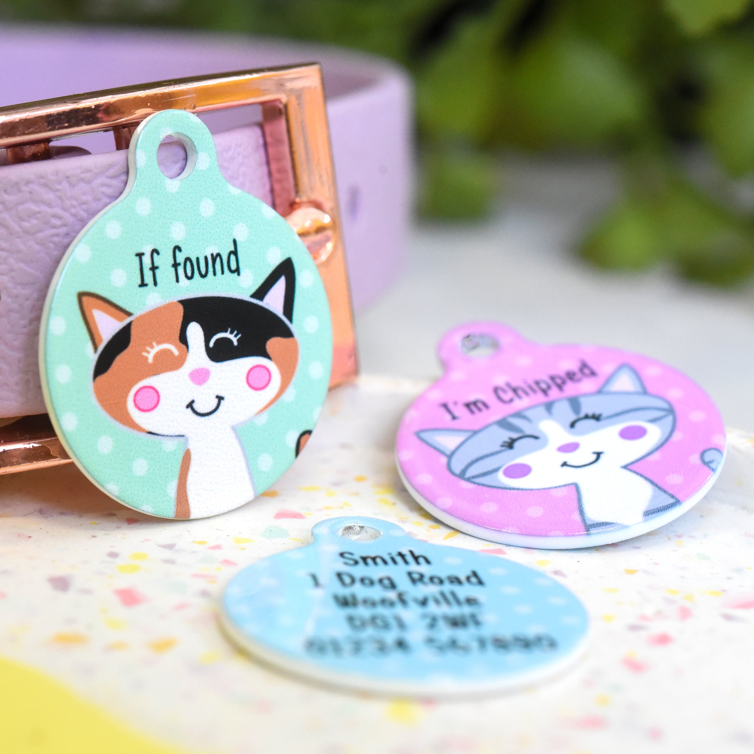 Cat Identity Label Personalised Cat Pet Identity Name Tag - Hoobynoo.co.uk