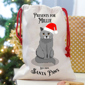Personalised Santa Cat Christmas Present Sack