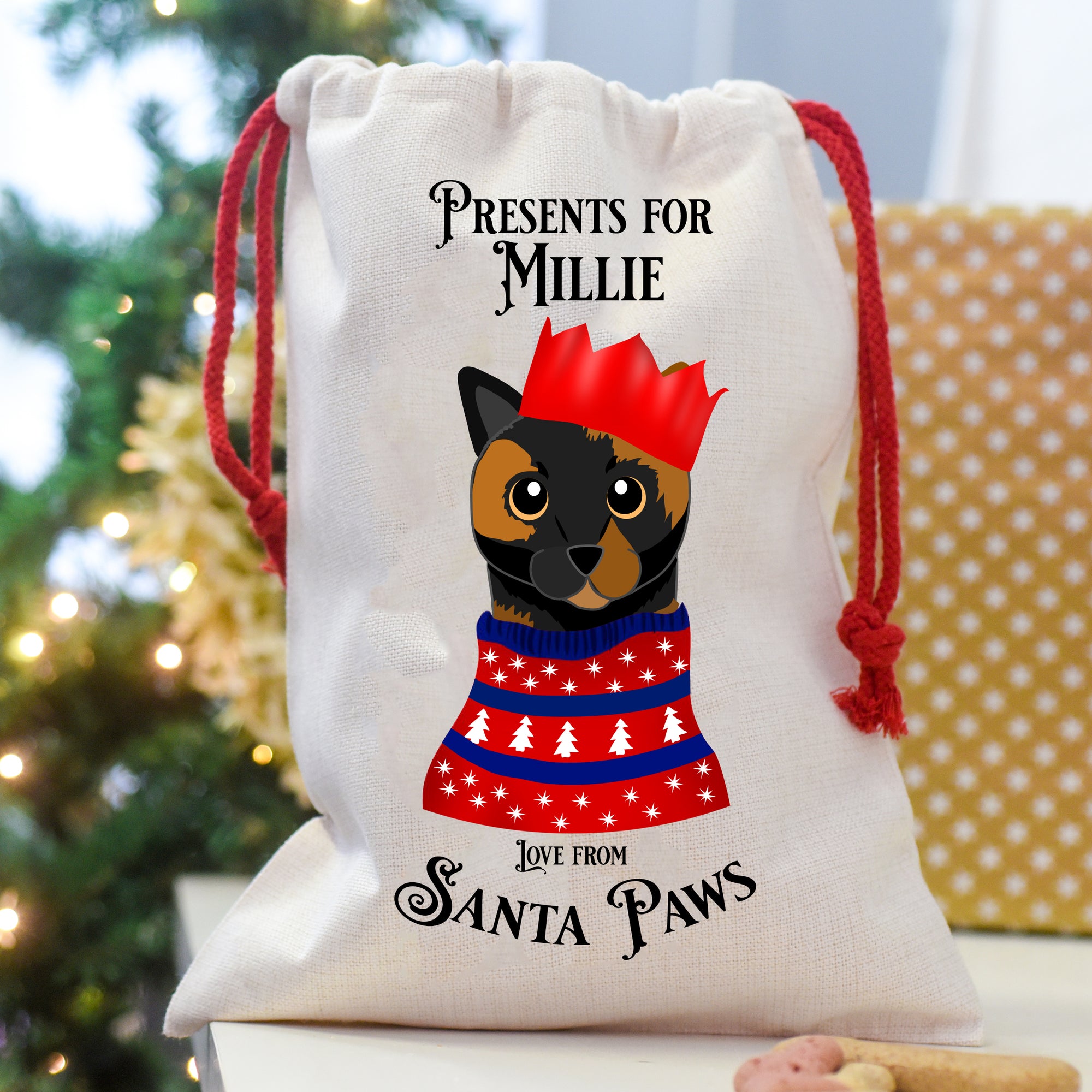 Personalised Christmas Party Cat Present Sack