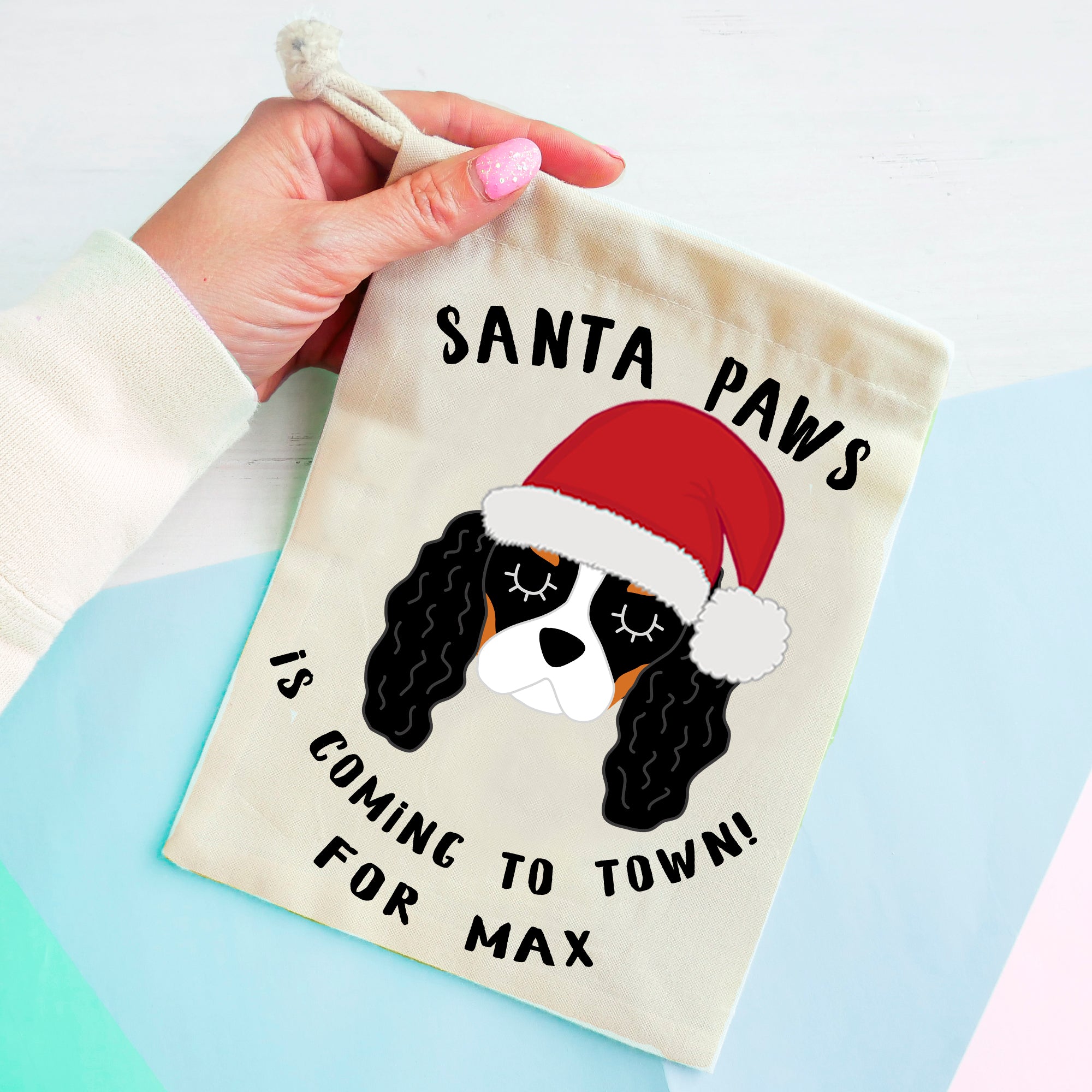 Cavalier King Charles Spaniel Christmas Treat Present Bag  - Hoobynoo - Personalised Pet Tags and Gifts