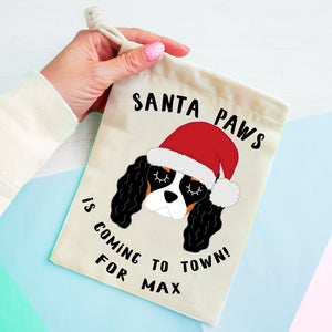 Cavalier King Charles Spaniel Christmas Treat Present Bag  - Hoobynoo - Personalised Pet Tags and Gifts