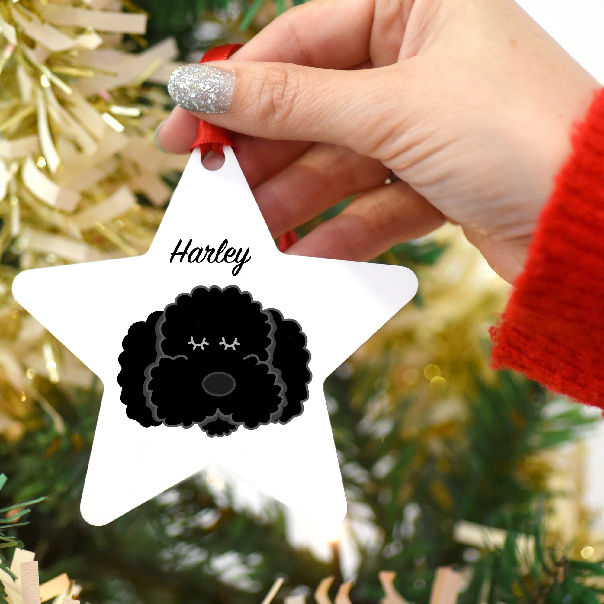 Cockapoo/Bichon Frise/Labradoodle Personalised Dog Christmas Decoration