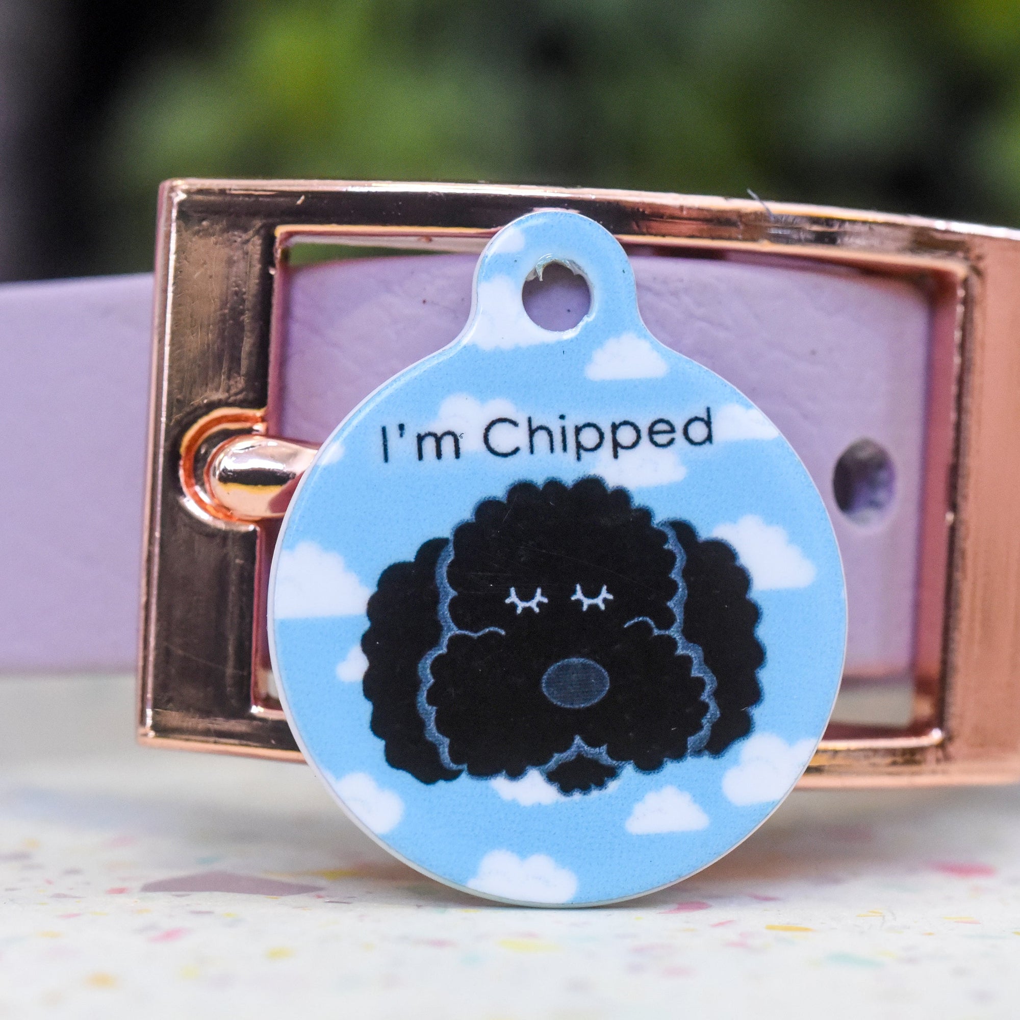 Bichon Frise Personalised Dog Tag - Happy Clouds