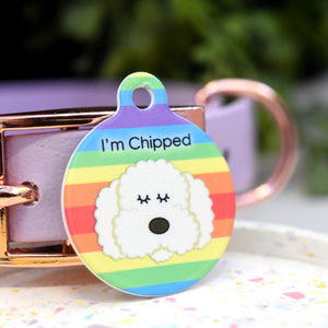 Cockapoo/Labradoodle/Bichon Frise Personalised Dog Tag - Rainbow