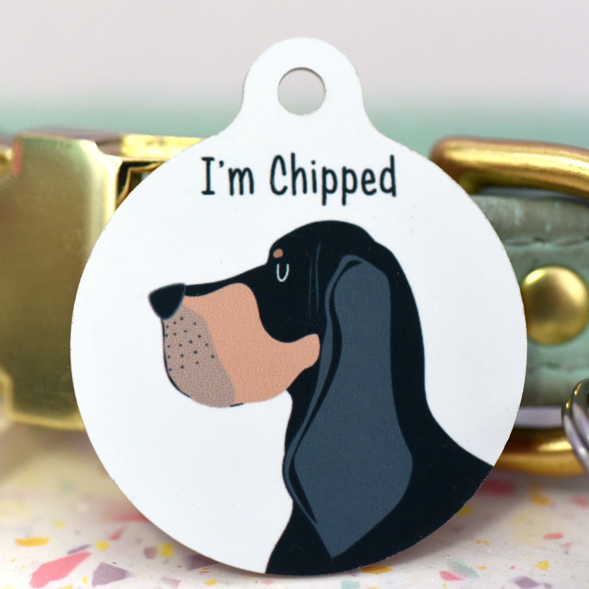Coonhound Personalised Dog ID Tag