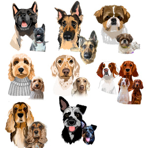 Pet Portrait Digital Illustration - Pastel Harlequin Background