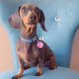 Personalised Dachshund Dog ID Tag - Polka Dot - SMALL 25mm  - Hoobynoo - Personalised Pet Tags and Gifts
