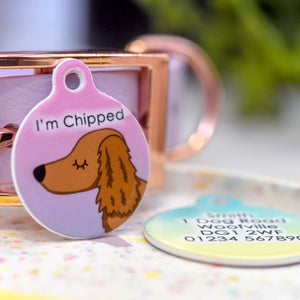 Personalised Dachshund Dog Tag - Ombre