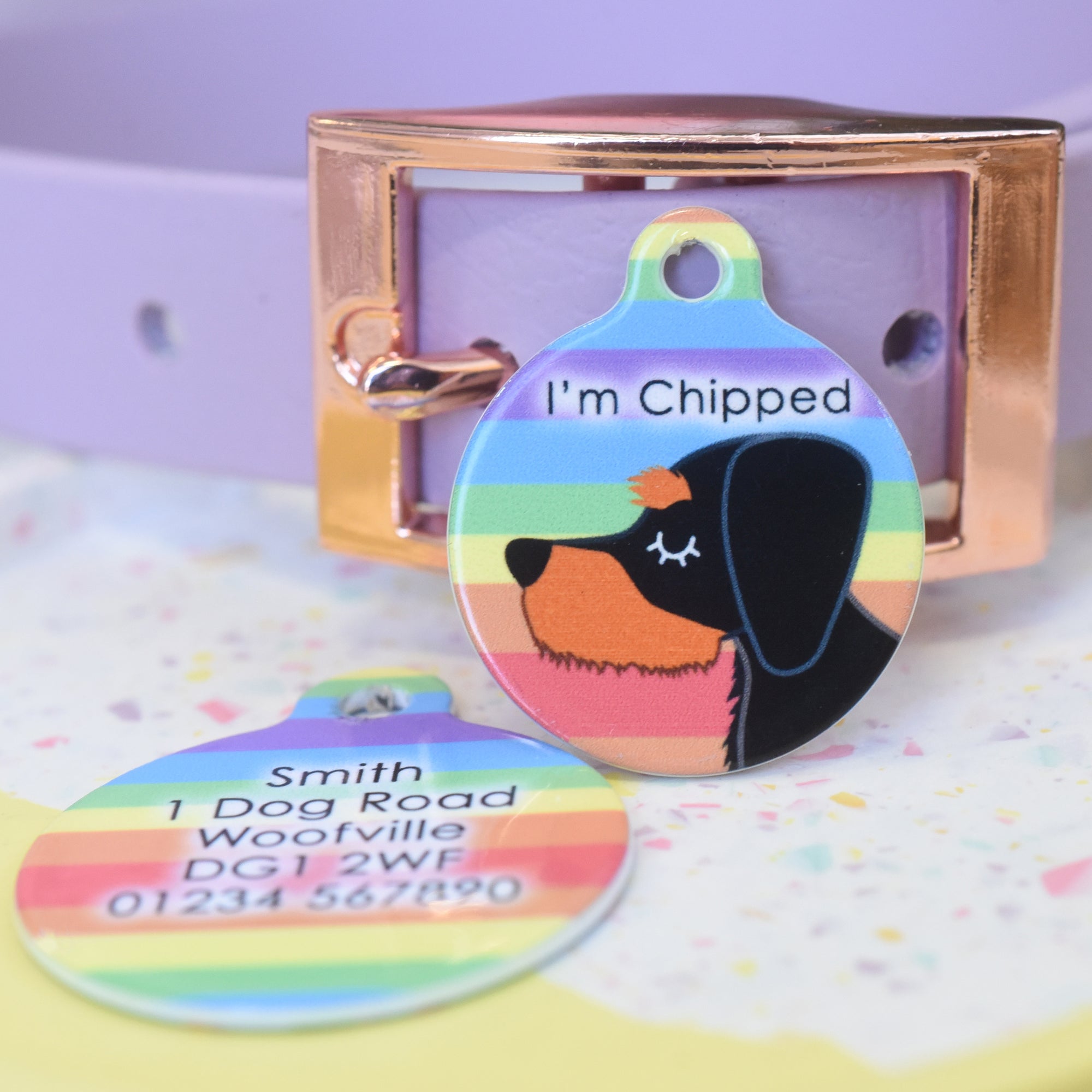 Personalised Dachshund Dog Tag - Rainbow