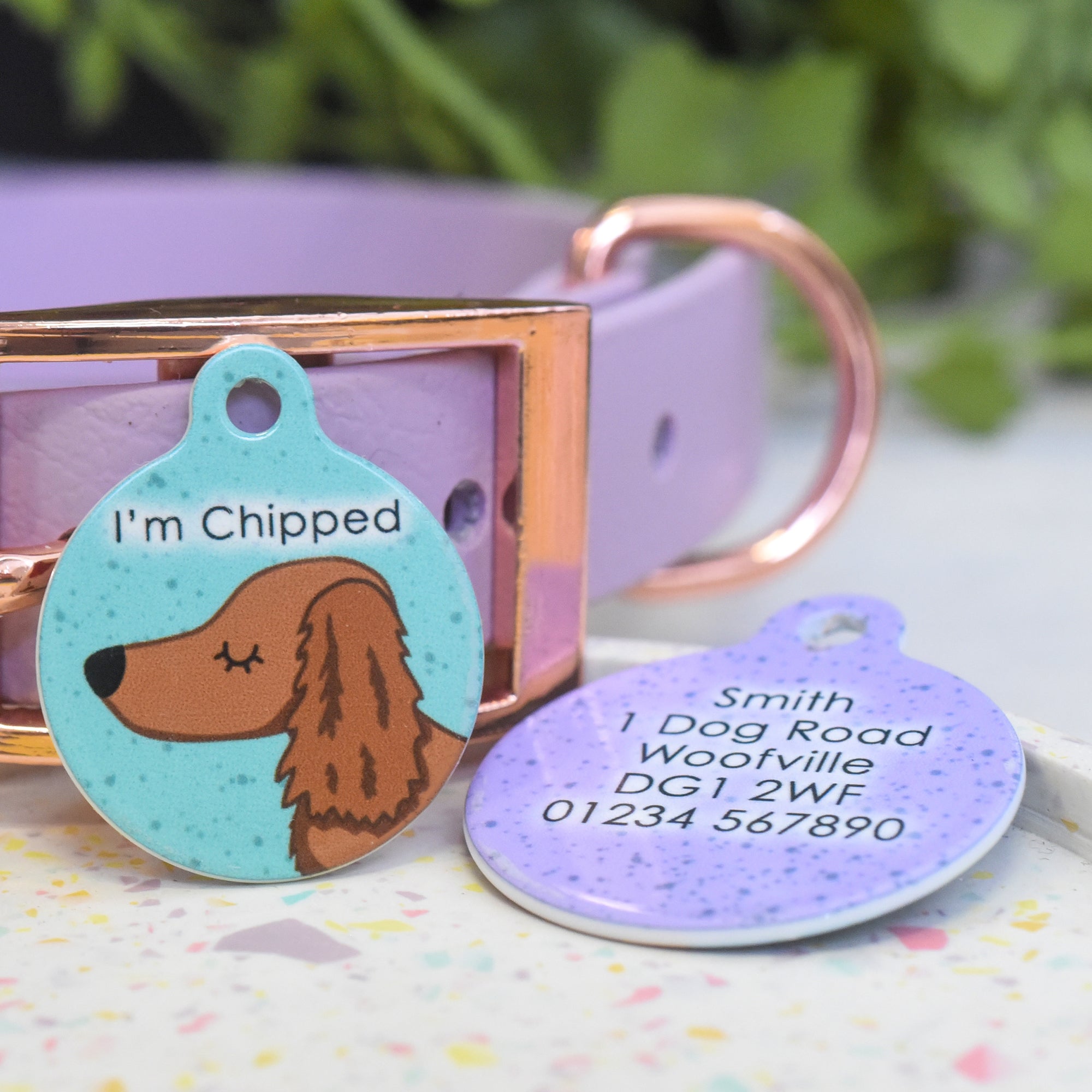 Personalised Dachshund Dog Tag - Speckled