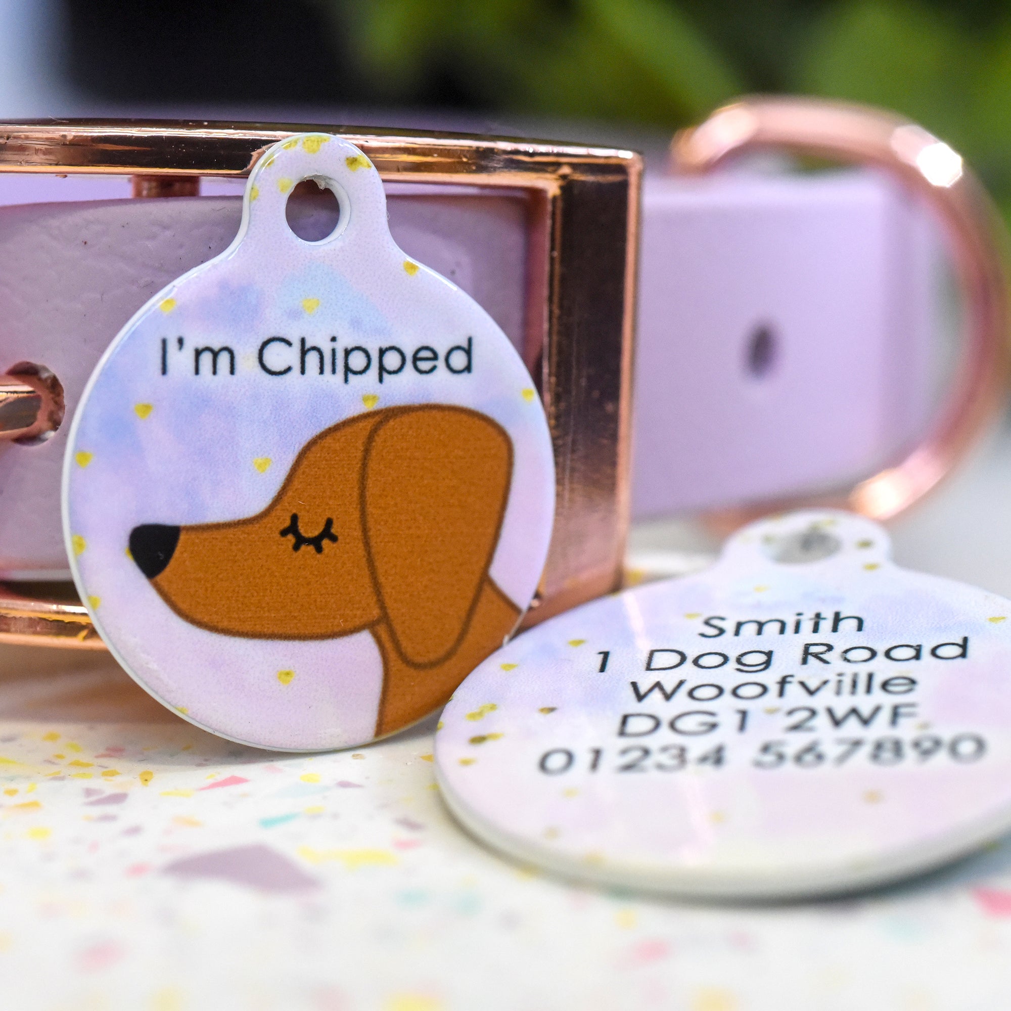 Dachshund Personalised Pet ID Tag Pastel Watercolour Gold Flake