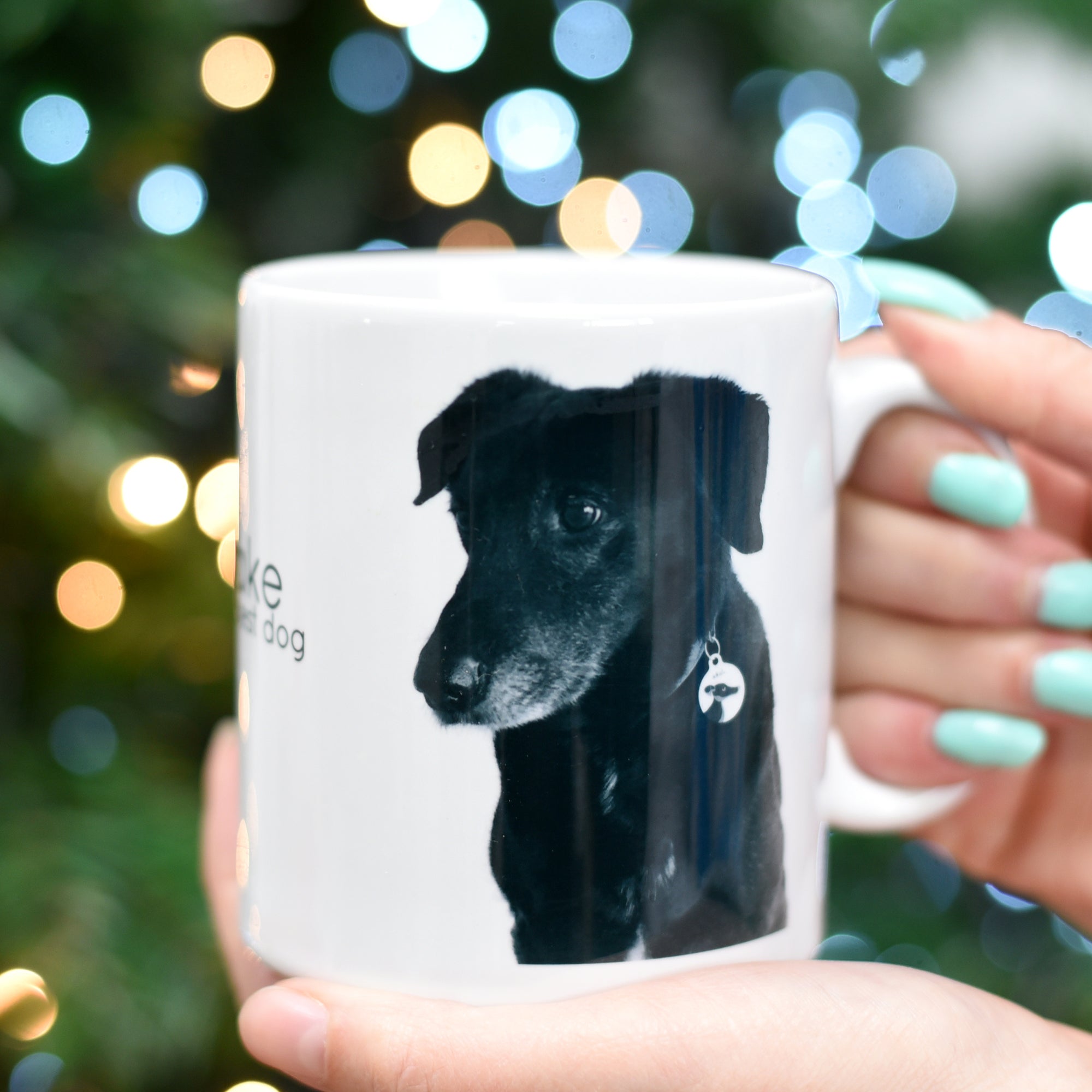 Personalised Dog and Pet Photo Mug