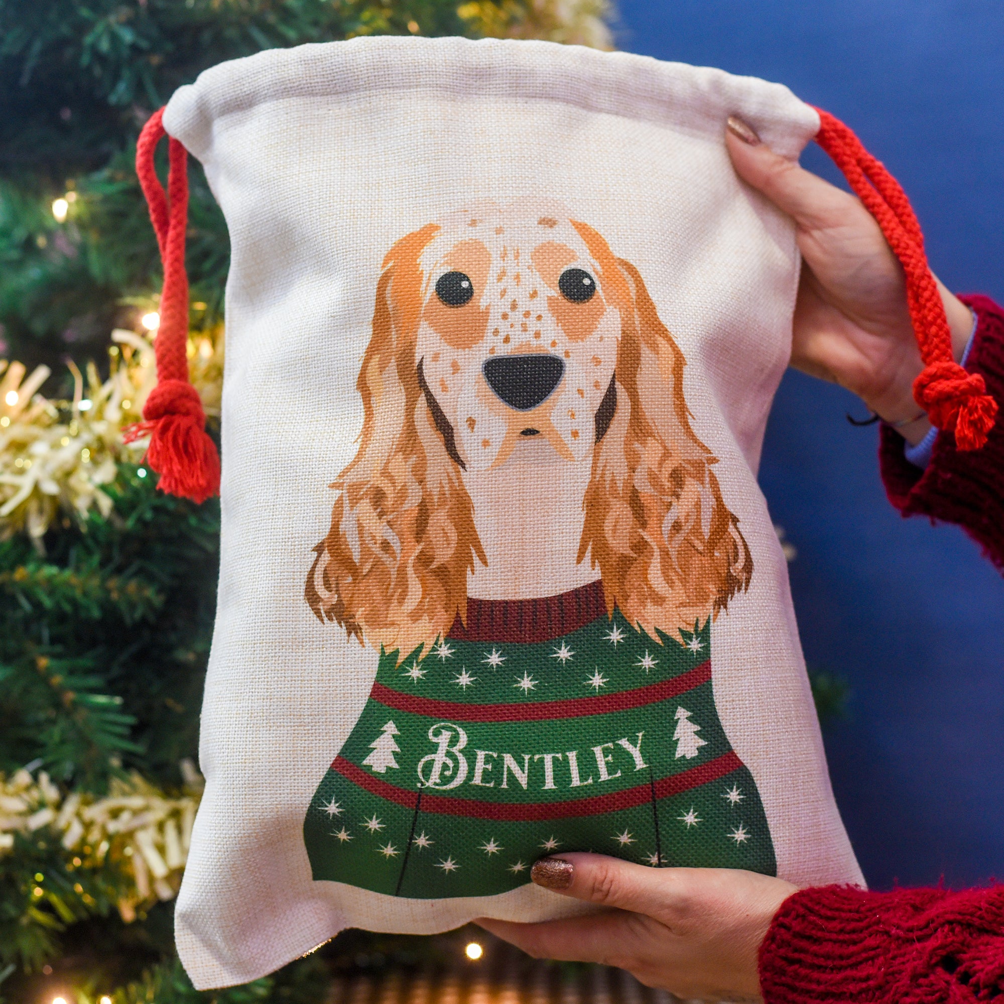 Personalised Christmas Jumper Dog Present Sack