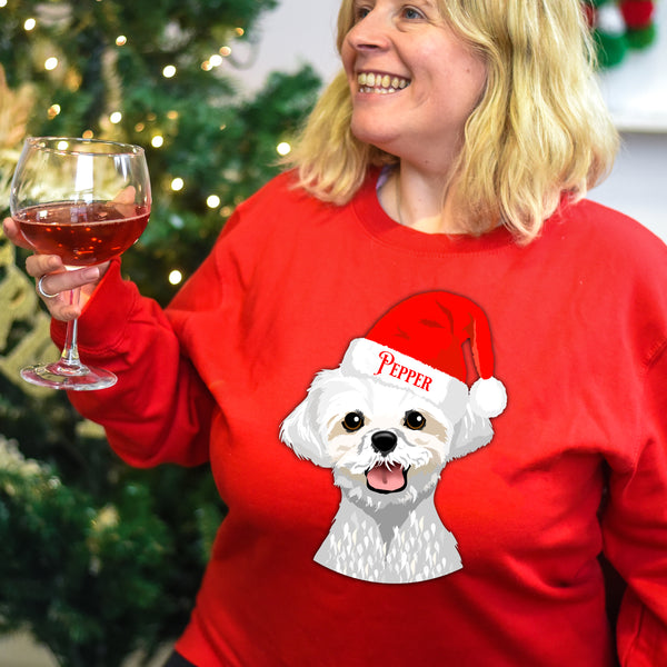 Matching dog hot sale christmas jumper