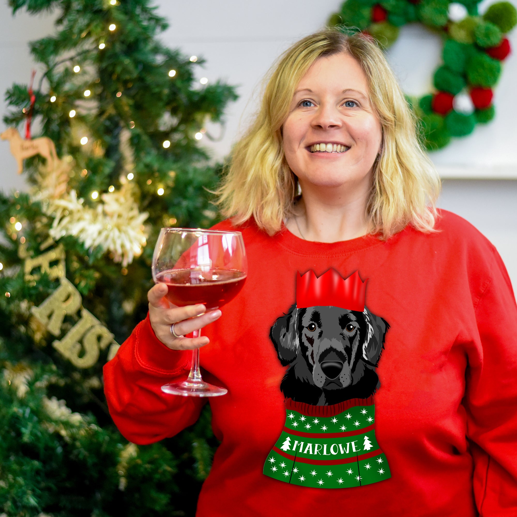 Personalised Christmas Party Dog Sweater