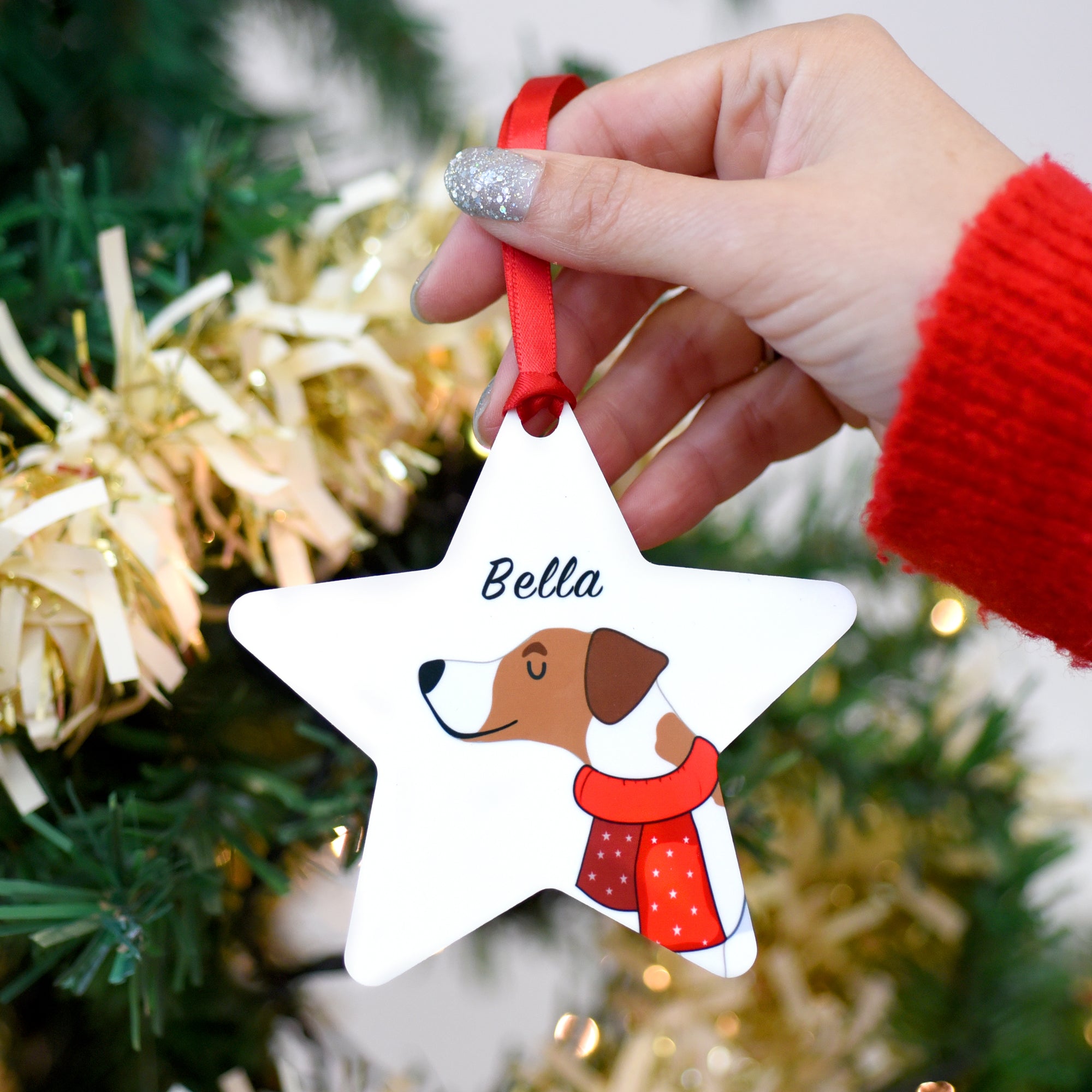 Personalised Dog Winter Clothing Christmas Decoration Bold