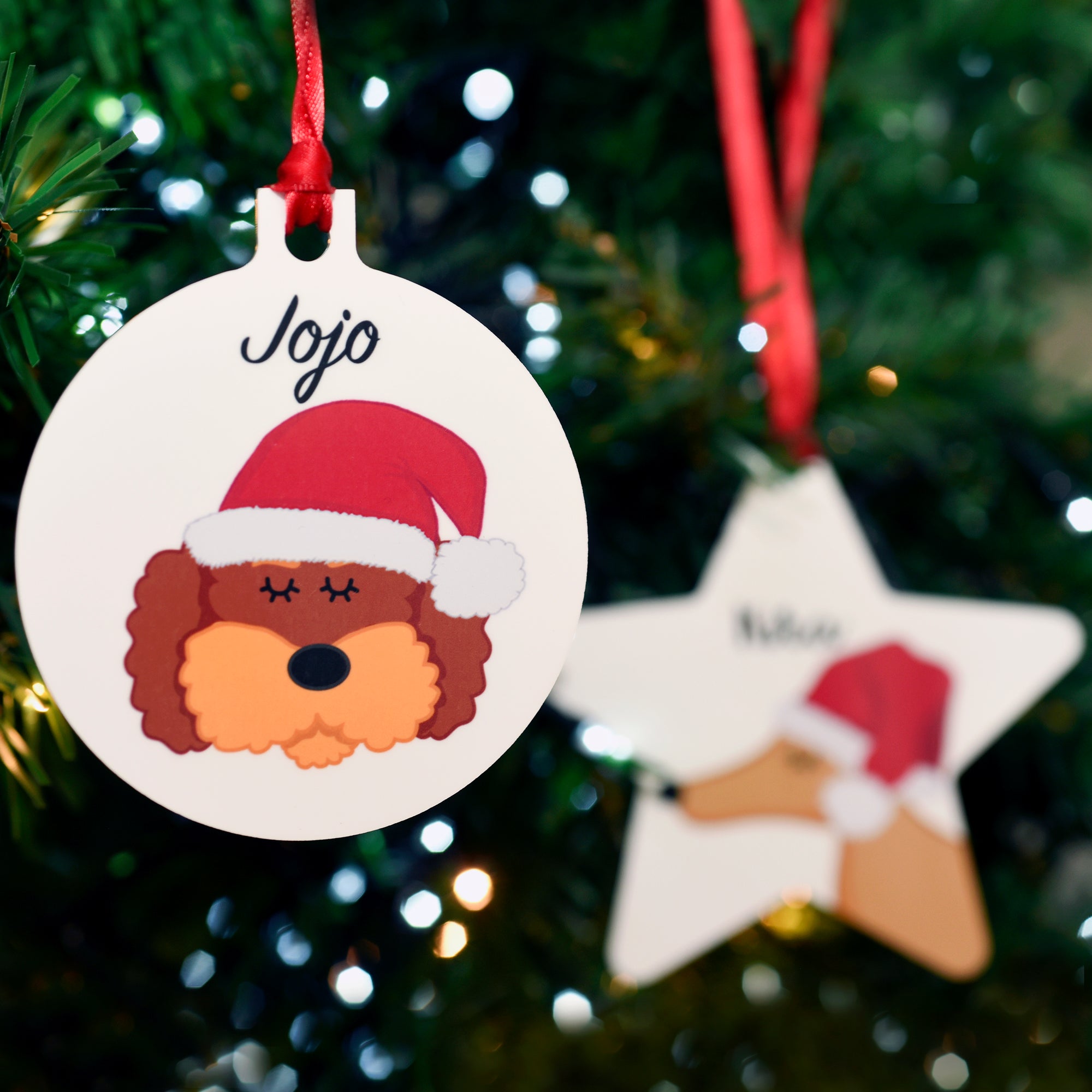 Dog Christmas Decoration - Personalised Santa Dog