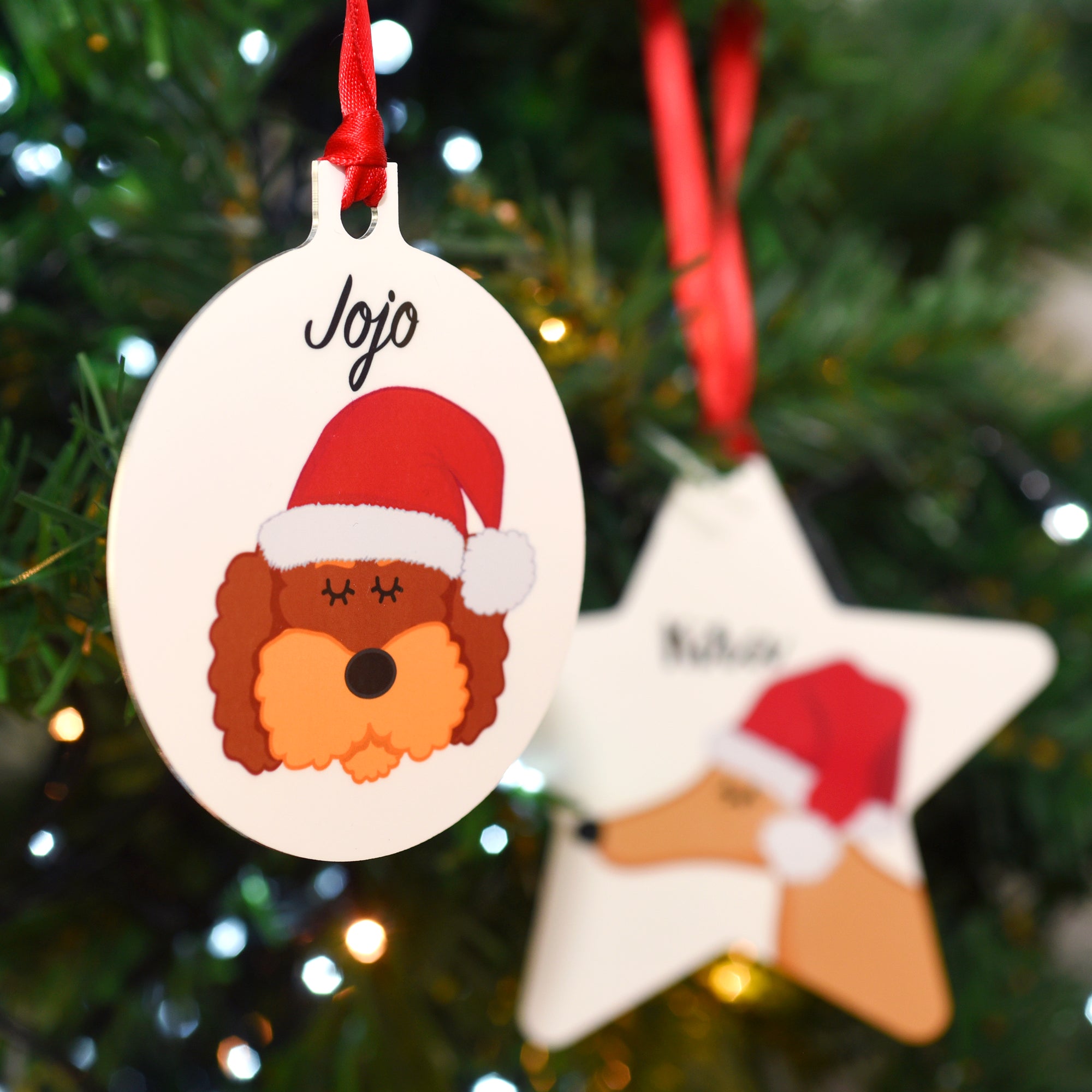 Dog Christmas Decoration - Personalised Santa Dog
