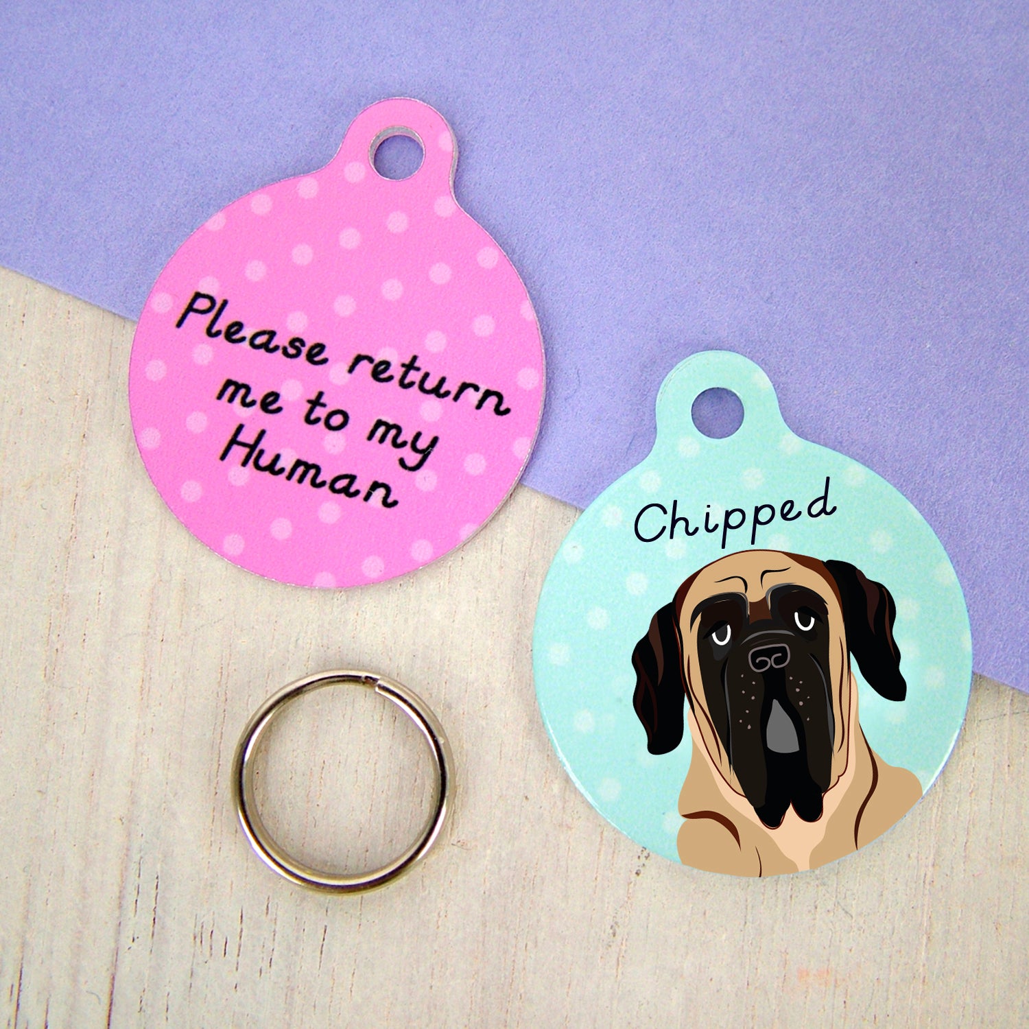 What kind of dog discount is in return to me