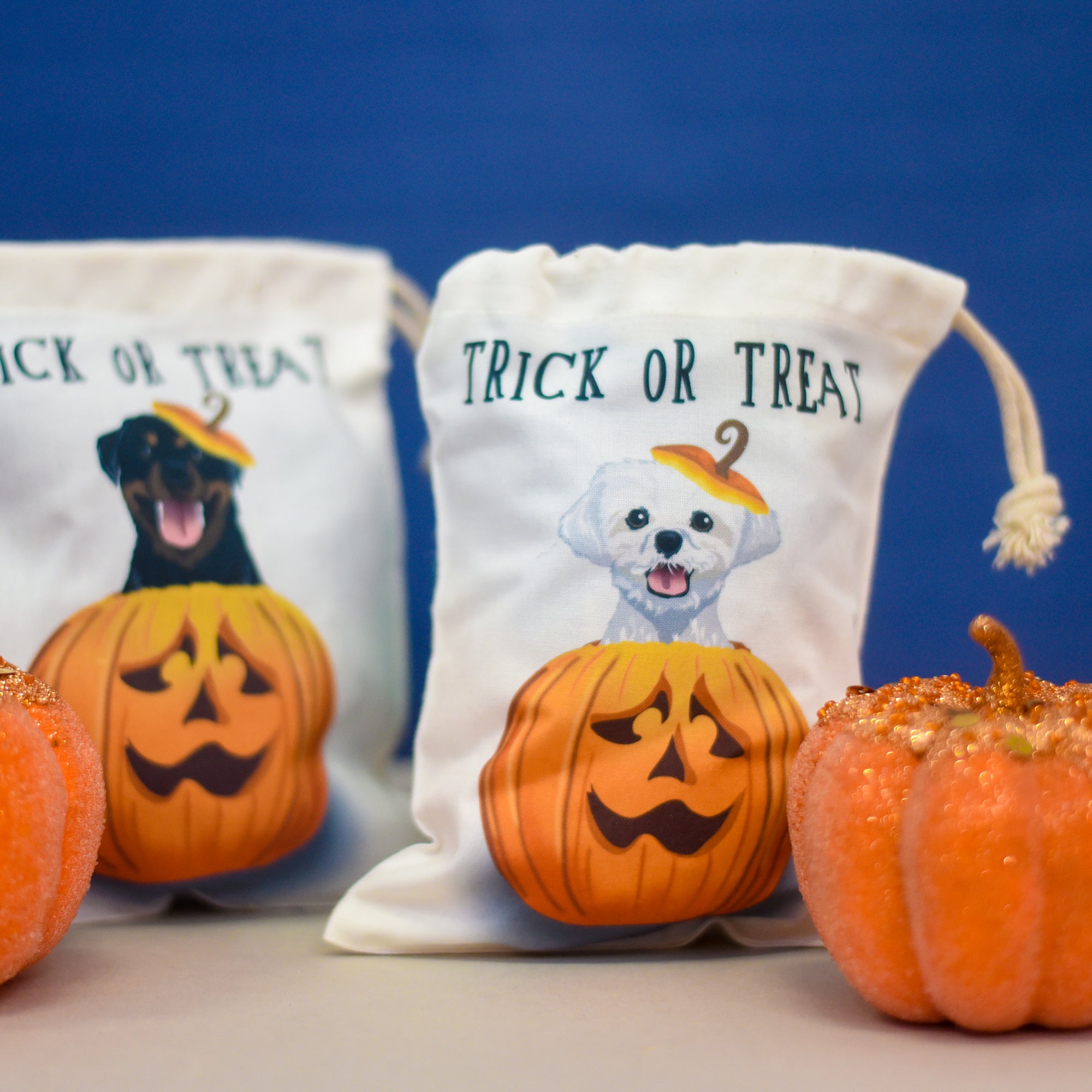 Trick Or Treat Spooky Halloween Dog Treat Bag