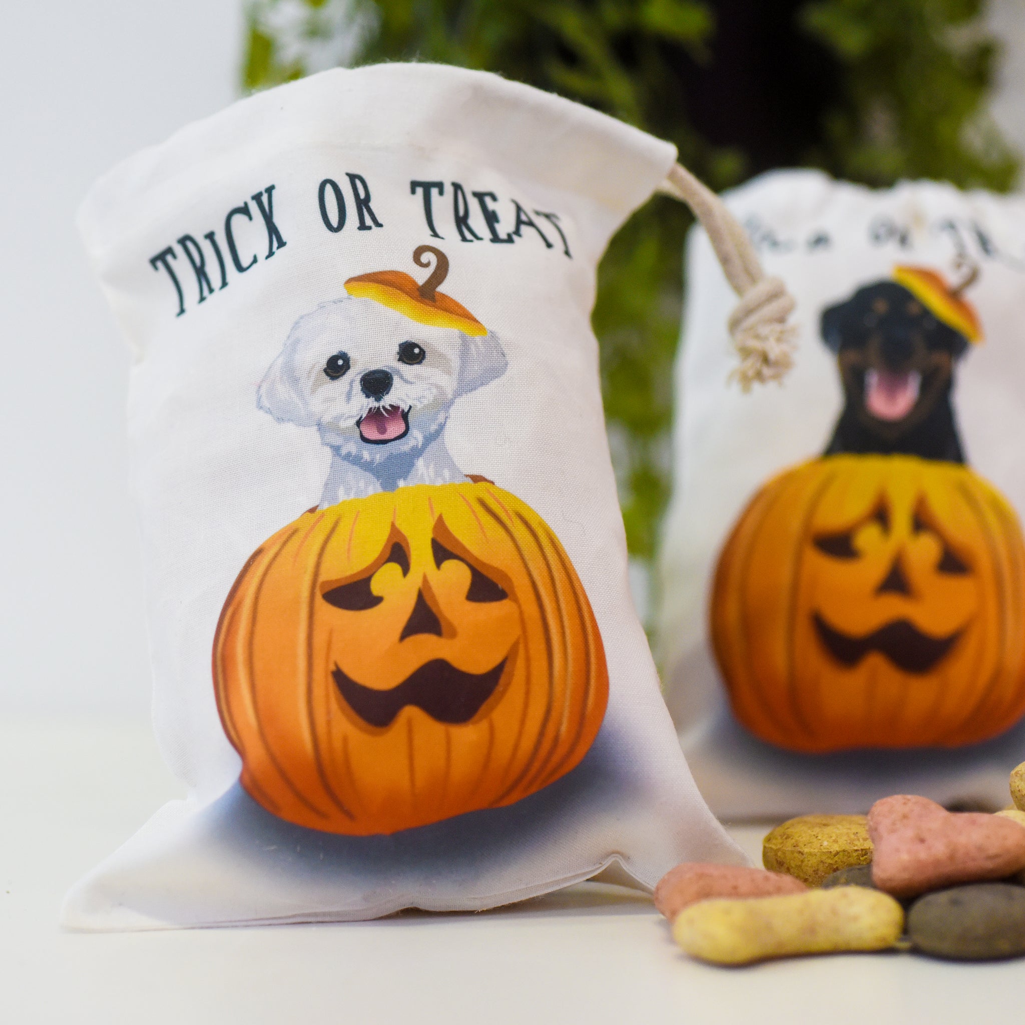 Halloween clearance dog bones