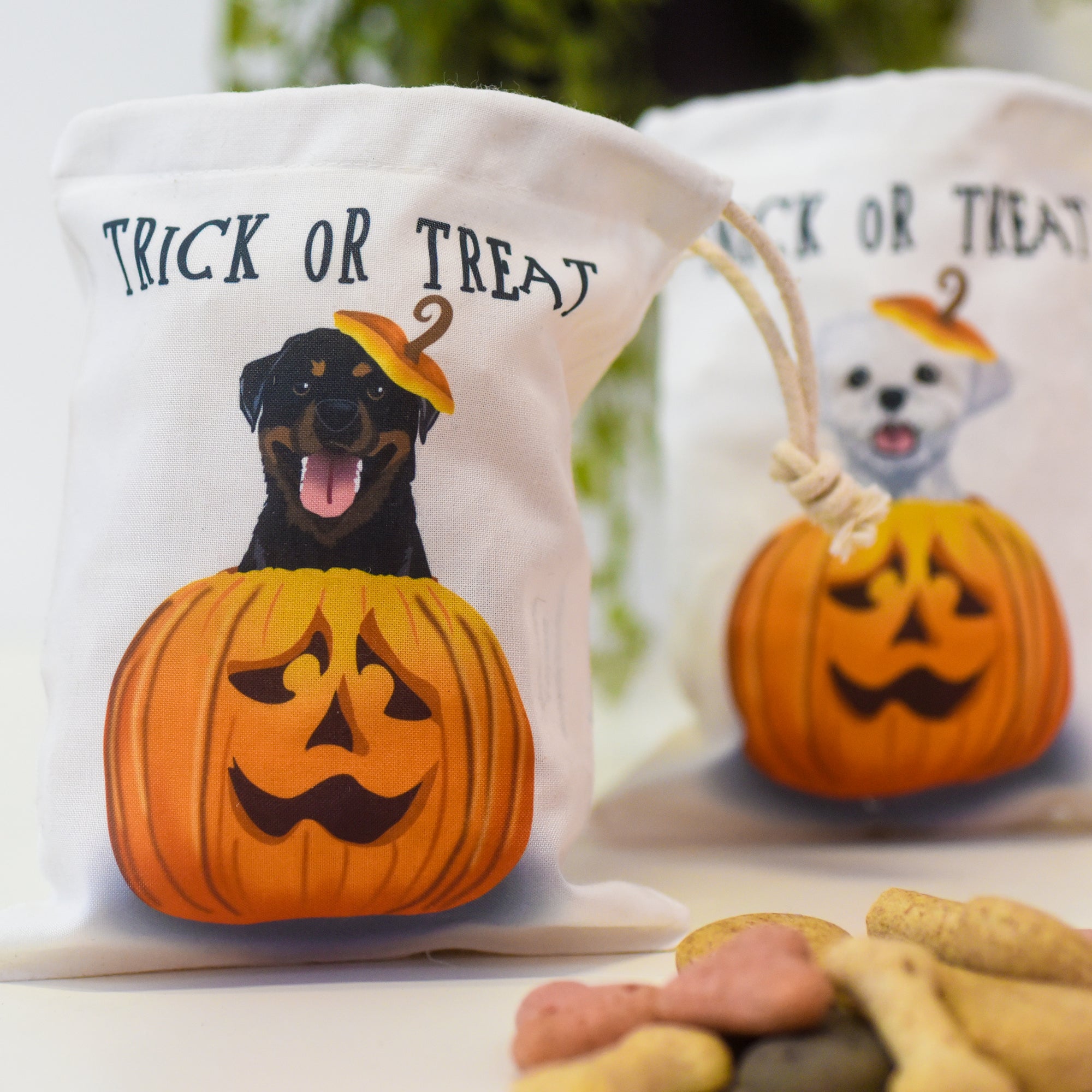Trick Or Treat Spooky Halloween Dog Treat Bag