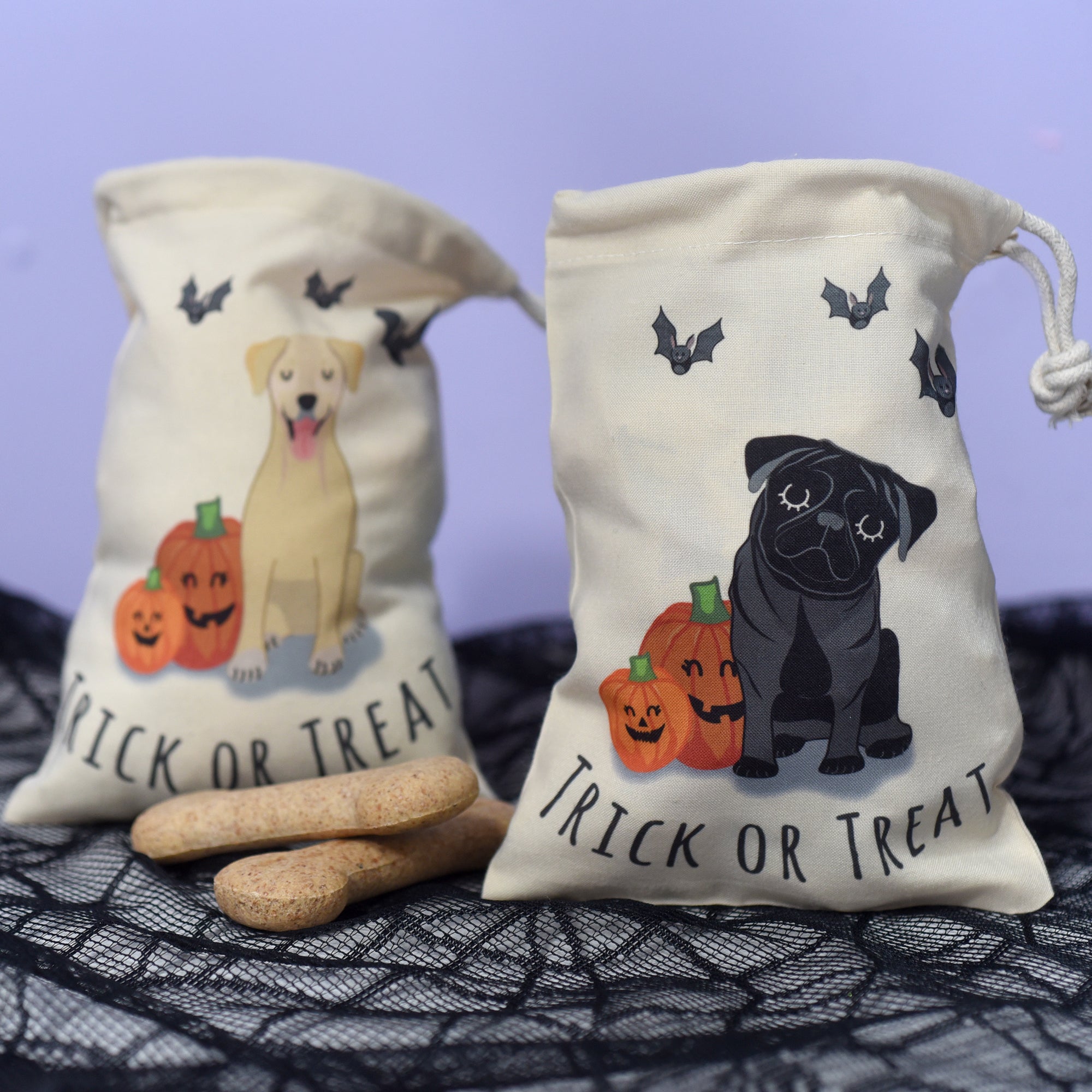 Spooky Halloween Dog treat training bag