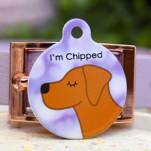 Personalised Labrador Dog Tag - Fairylights