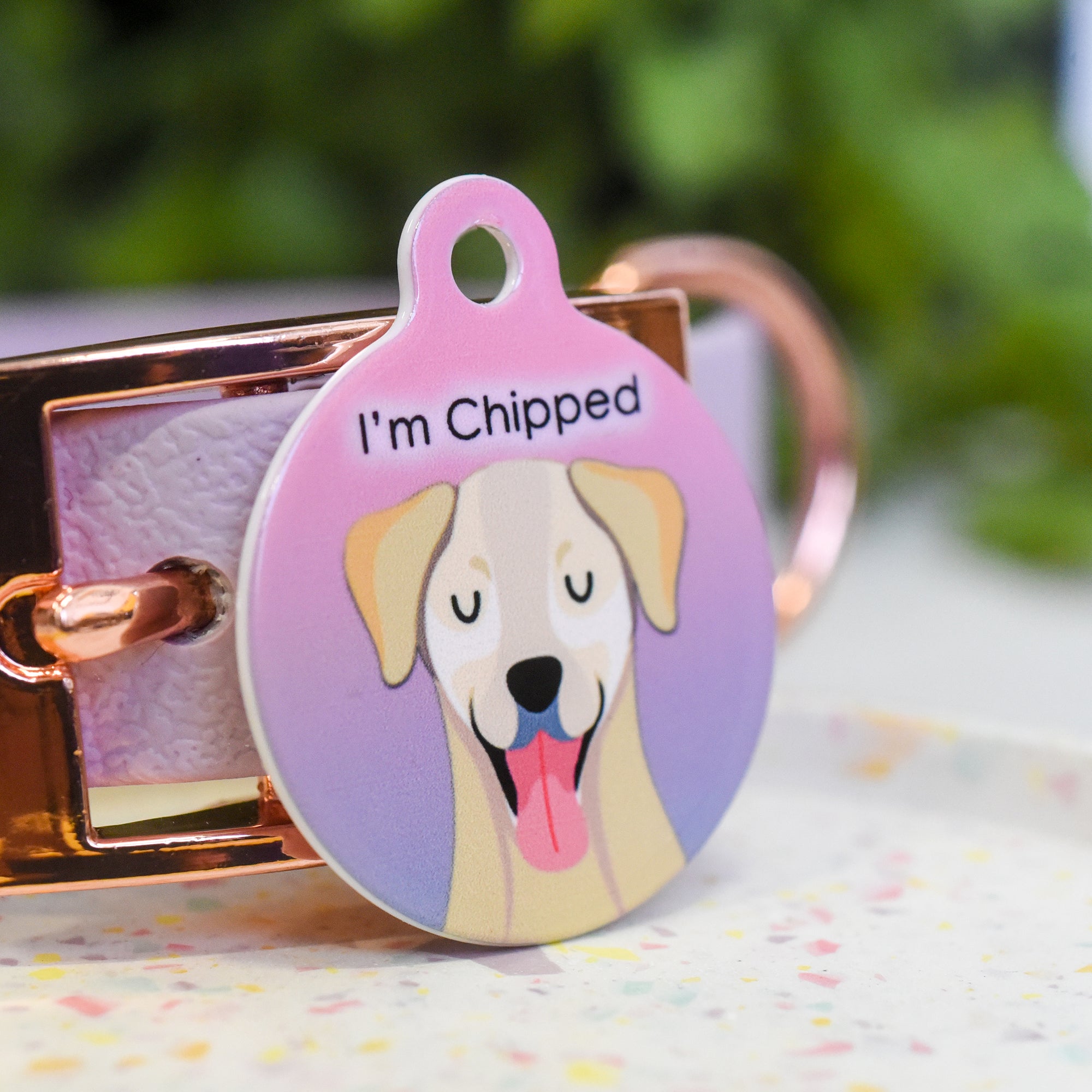 Personalised Labrador Dog Tag - Ombre