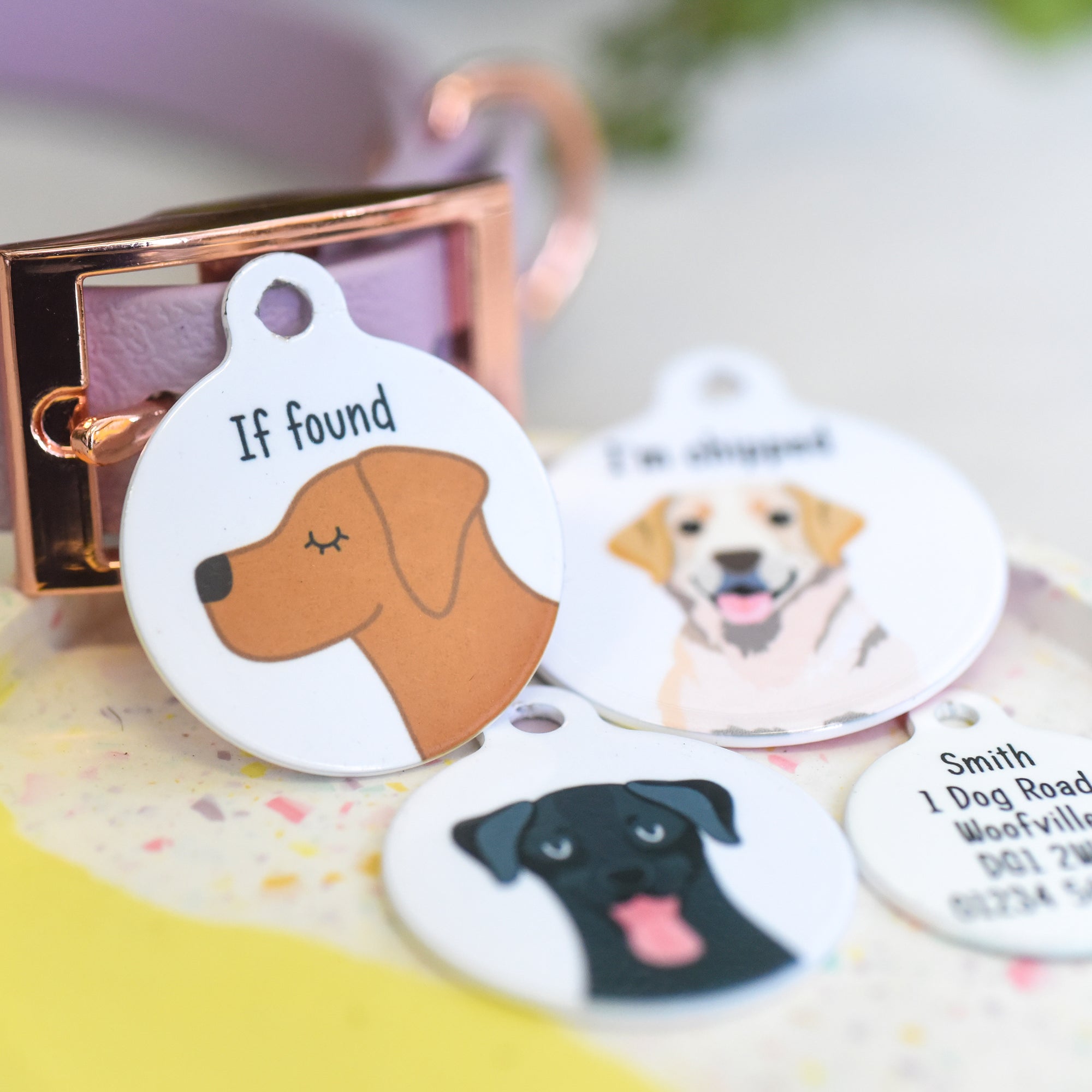 Personalised Labrador Retriever Dog Tag with Bold White Background