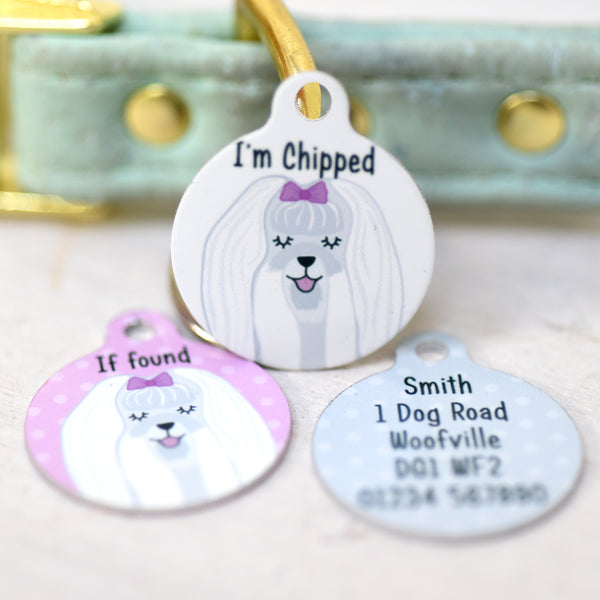 Maltese terrier pet on sale shop