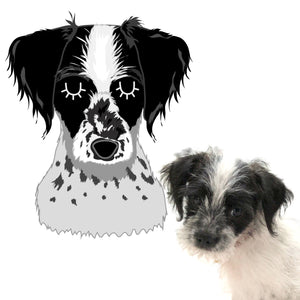 Cartoon Mixed Breed Custom Illustration Personalised Dog ID Tag