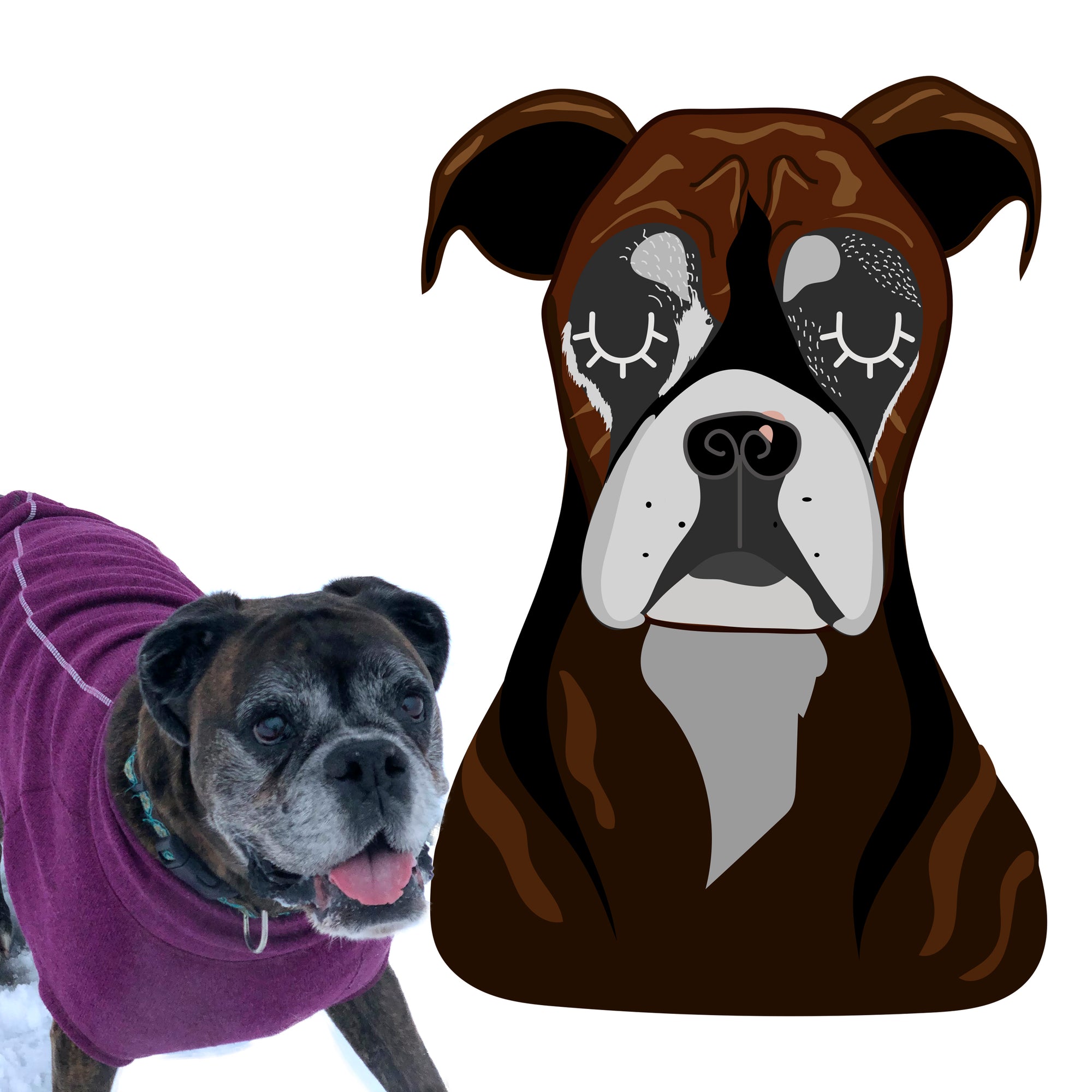 Cartoon Mixed Breed Custom Illustration Personalised Dog ID Tag