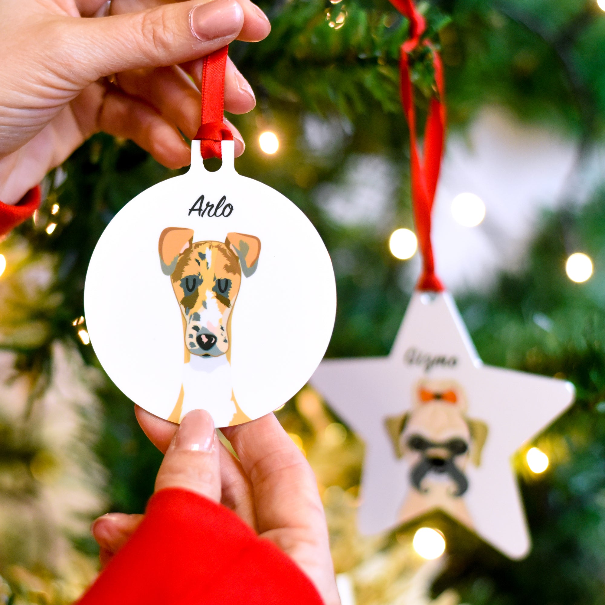 Personalised Mixed Breed Dog Christmas Decoration - Custom Illustration