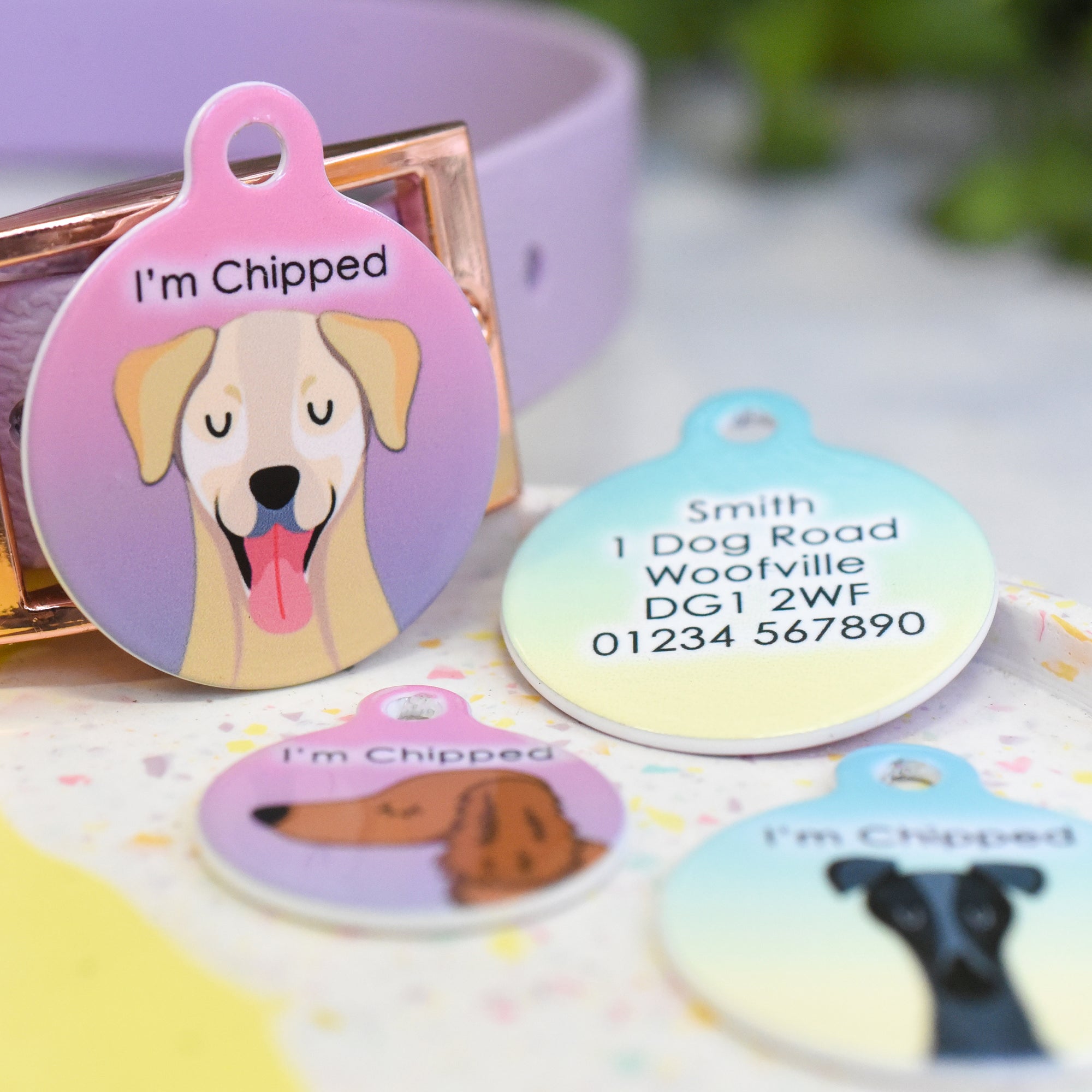 Dog Tag Personalised - Ombre