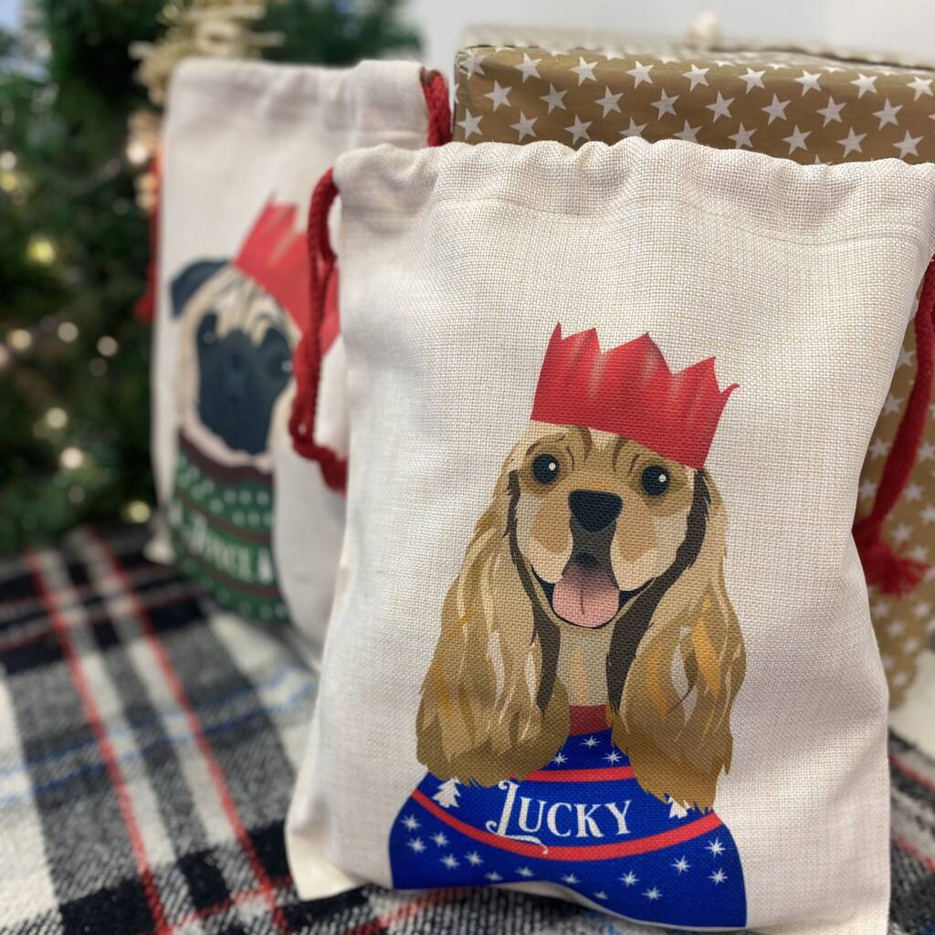 Personalised Christmas Party Dog Present Sack