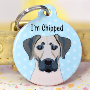 Black Mouth Cur Personalised Dog ID Tag