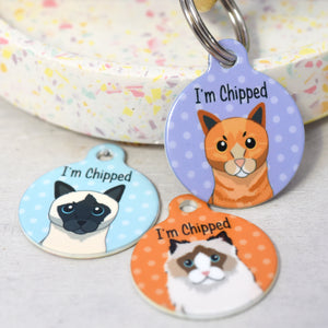Personalised Cute Cat Pet Identity Name Tag