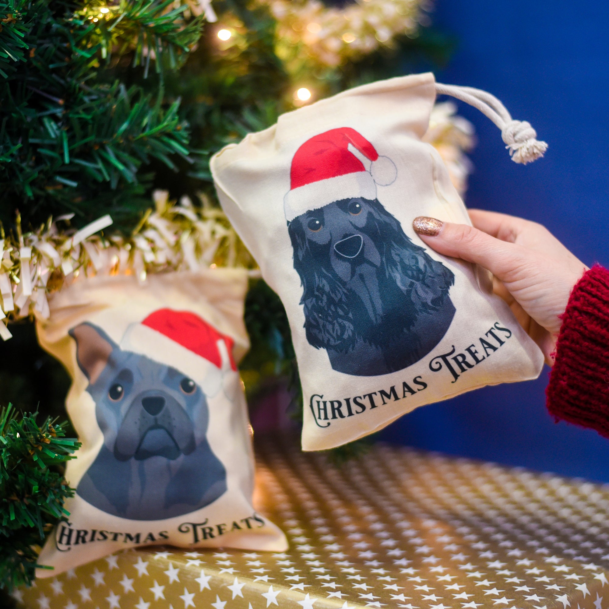 Personalised Santa Dog Christmas Treat bag