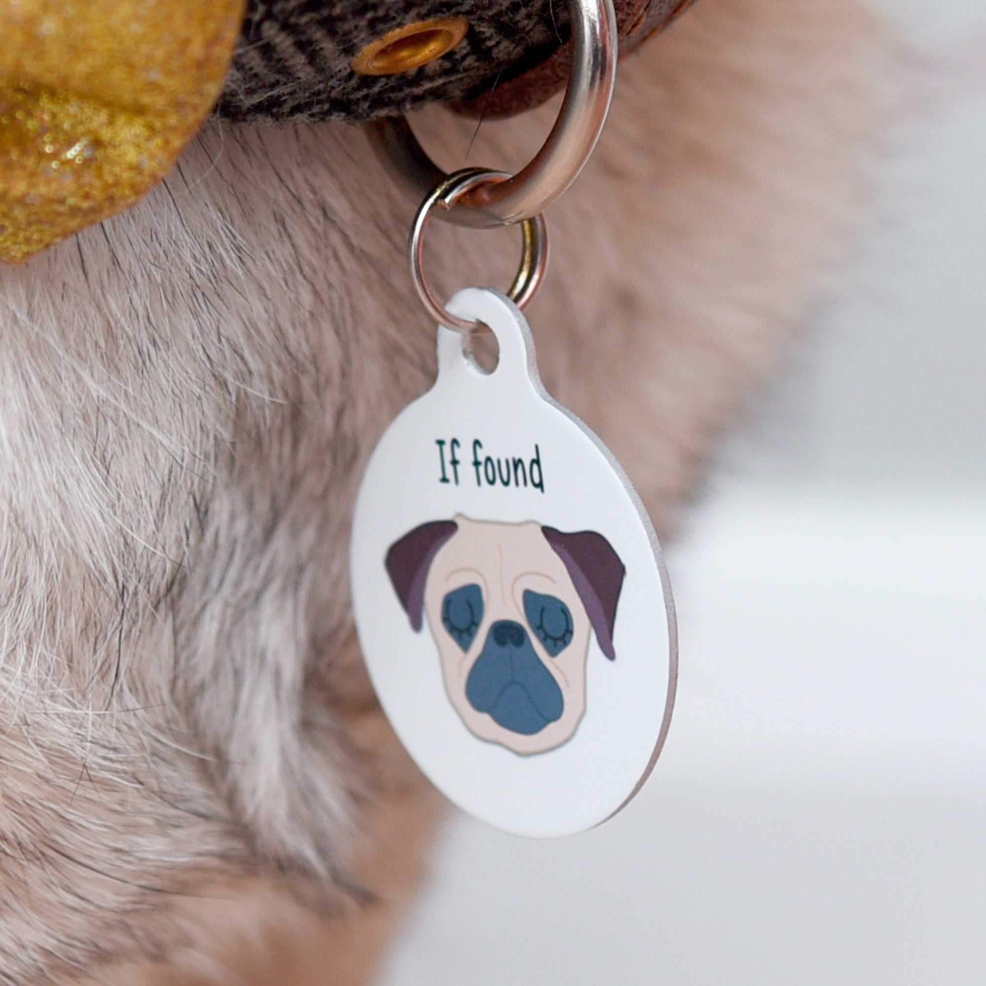 Dog Tag Personalised Collar Tag- Bold