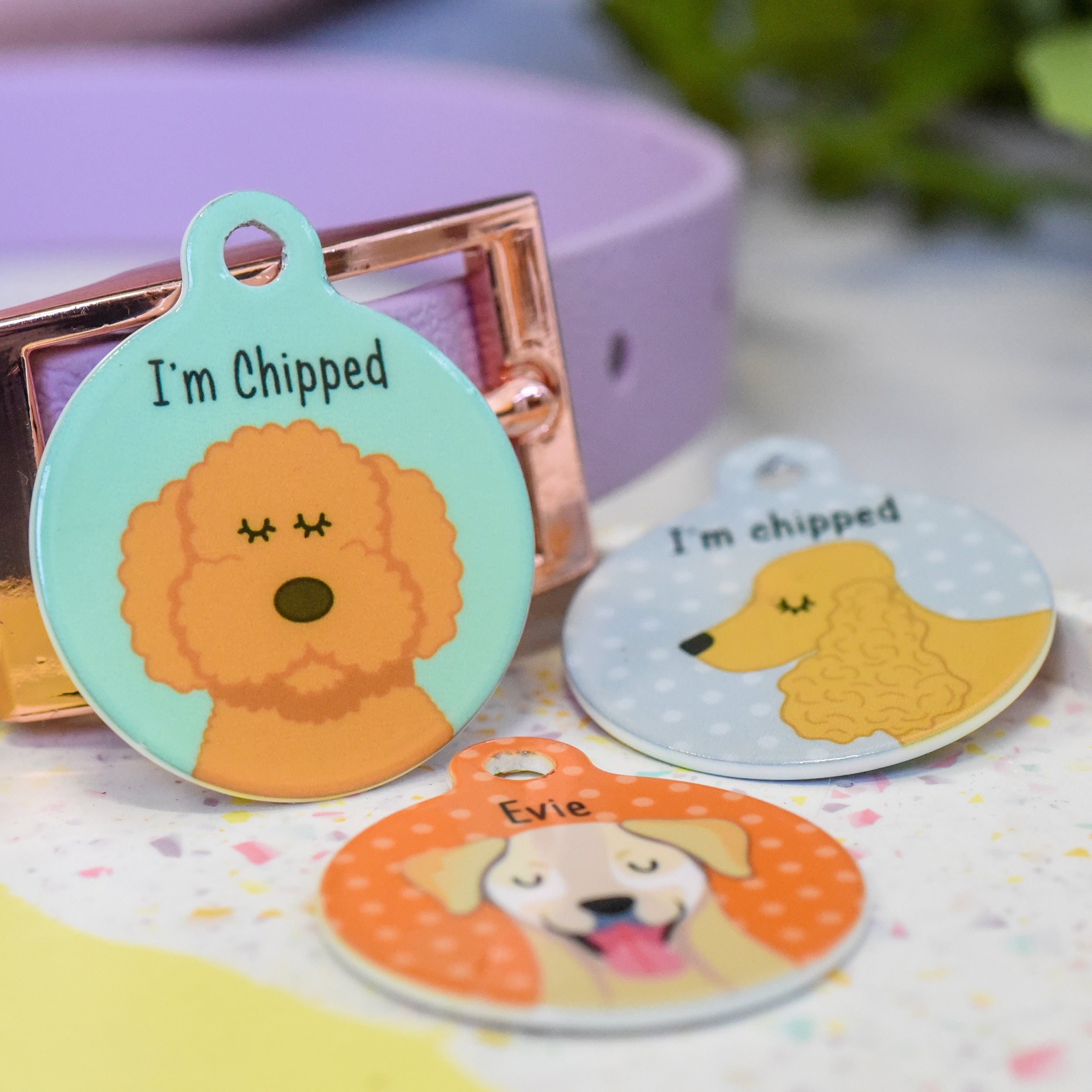 Cartoon Personalised Dog Tags for Pet Collar ID Disc Dogs Tag for Pets